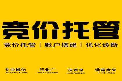 百度推广实战案例：打造爆款广告的秘密武器